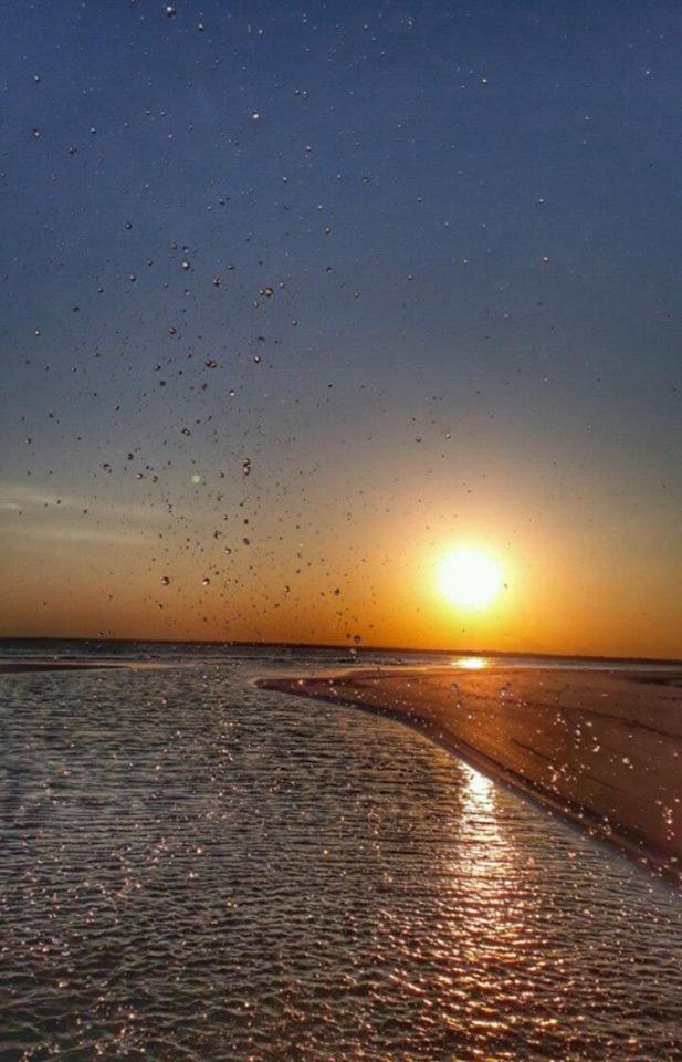 Pousada Praia Mansa - Ana E Agnaldo Superagui Bagian luar foto